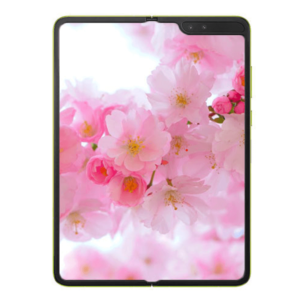 Samsung Galaxy Z Fold 2 5G 12GB/256GB