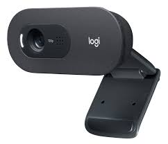 Logitech C505 HD Webcam